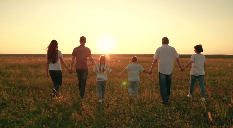 Big active family in summer go on green grass in meadow. Parents children walking in summer nature park. Mom dad son daughter walk together at sunset. Family people kids walking on field holding hands