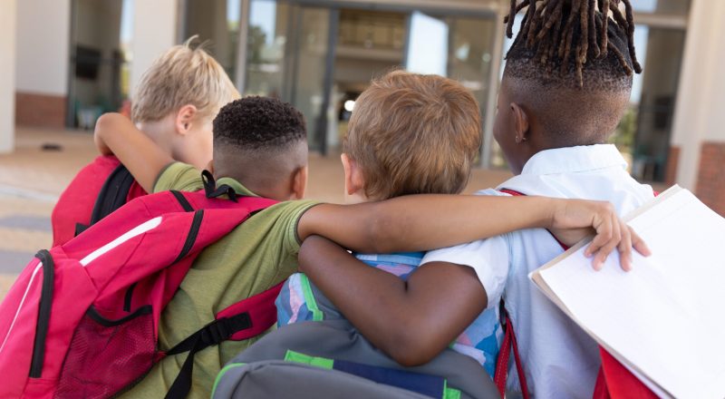 Rear view of multiracial elementary schoolboys with arm around standing at school campus. unaltered, childhood, education, together and back to school concept.
